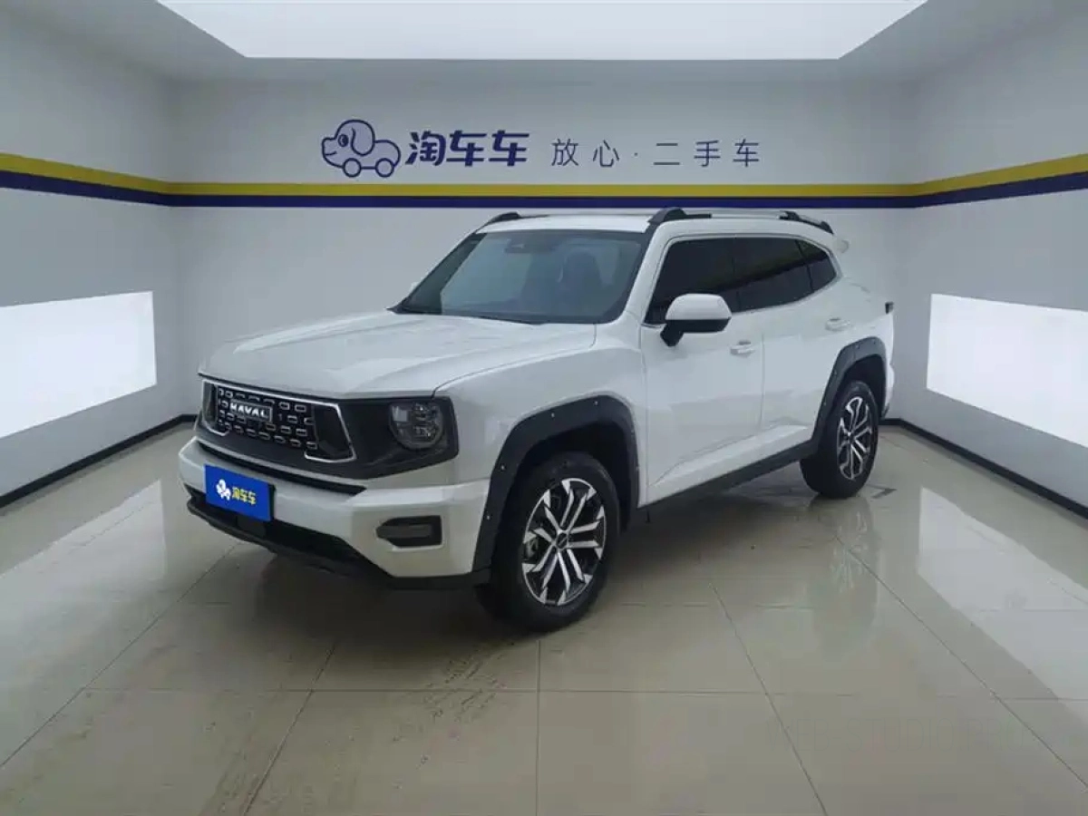 HAVAL BIG DOG II