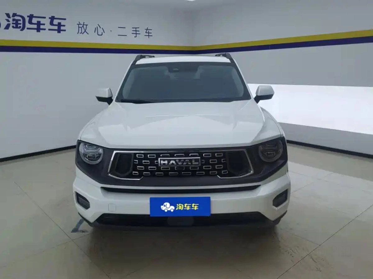 HAVAL BIG DOG II