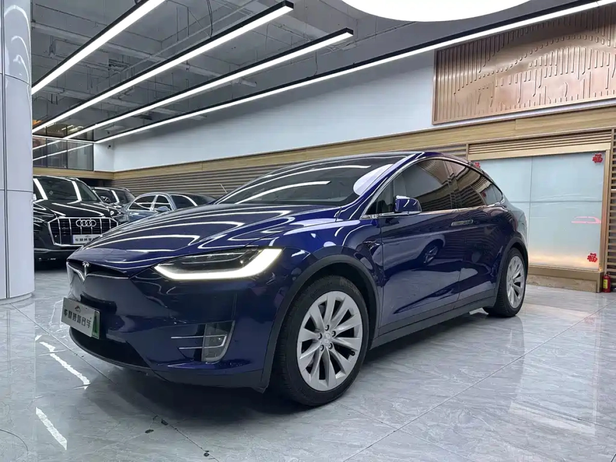 TESLA MODEL X