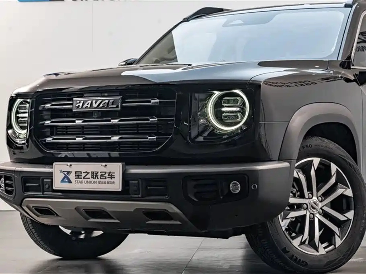 HAVAL BIG DOG