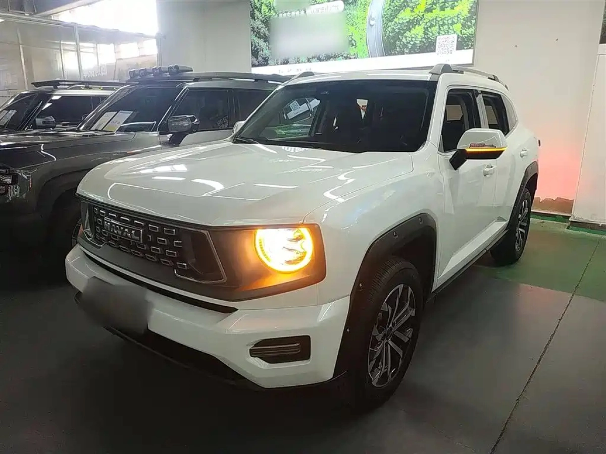 HAVAL BIG DOG II