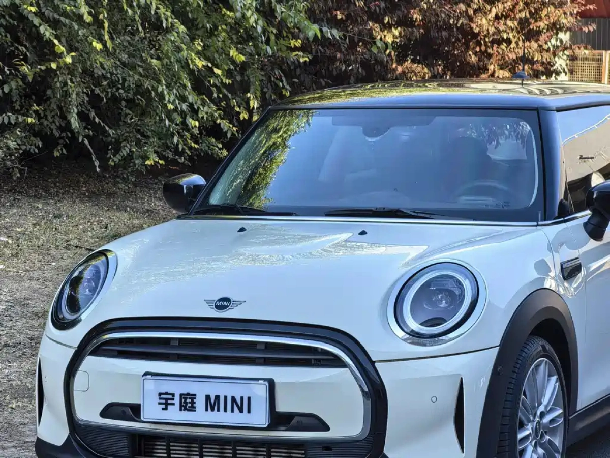 MINI OTHER