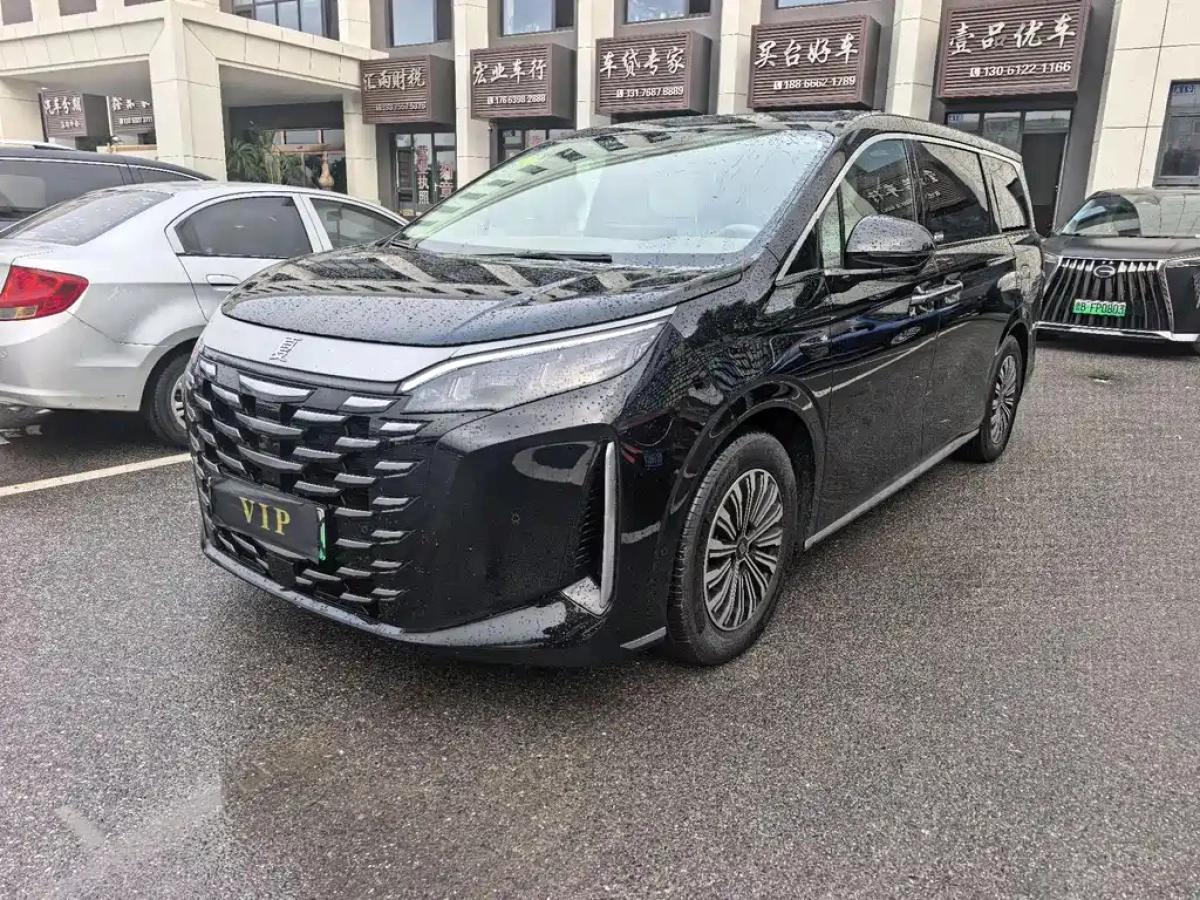 BYD XIA  2025