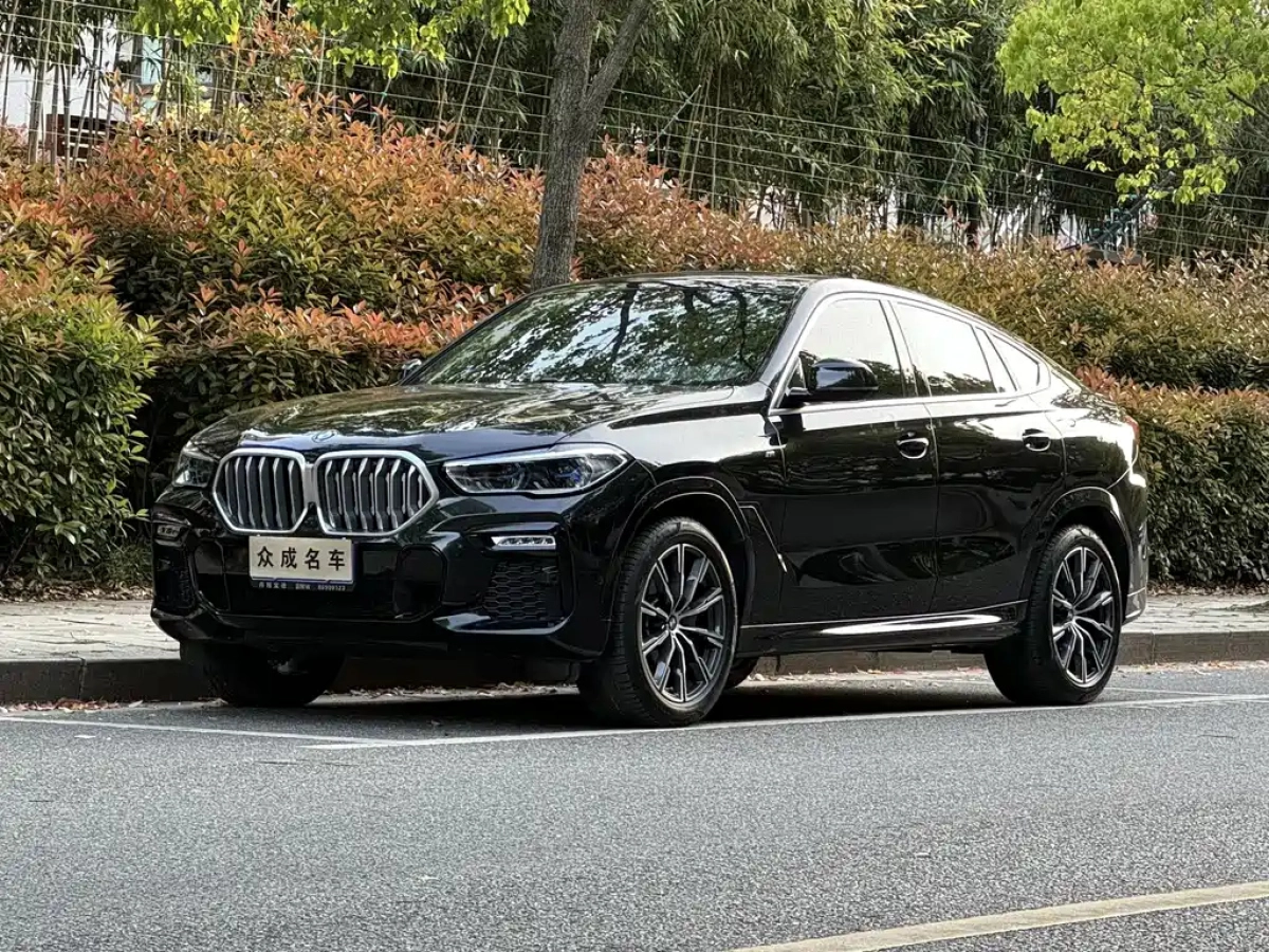 BMW X6  2021