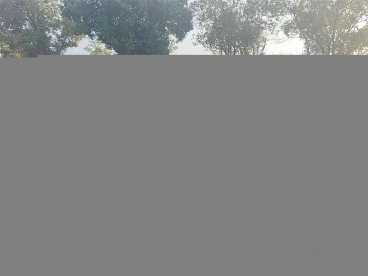 VOLKSWAGEN MULTIVAN  2019