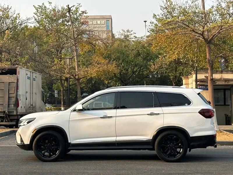 DONGFENG FORTHING T5L