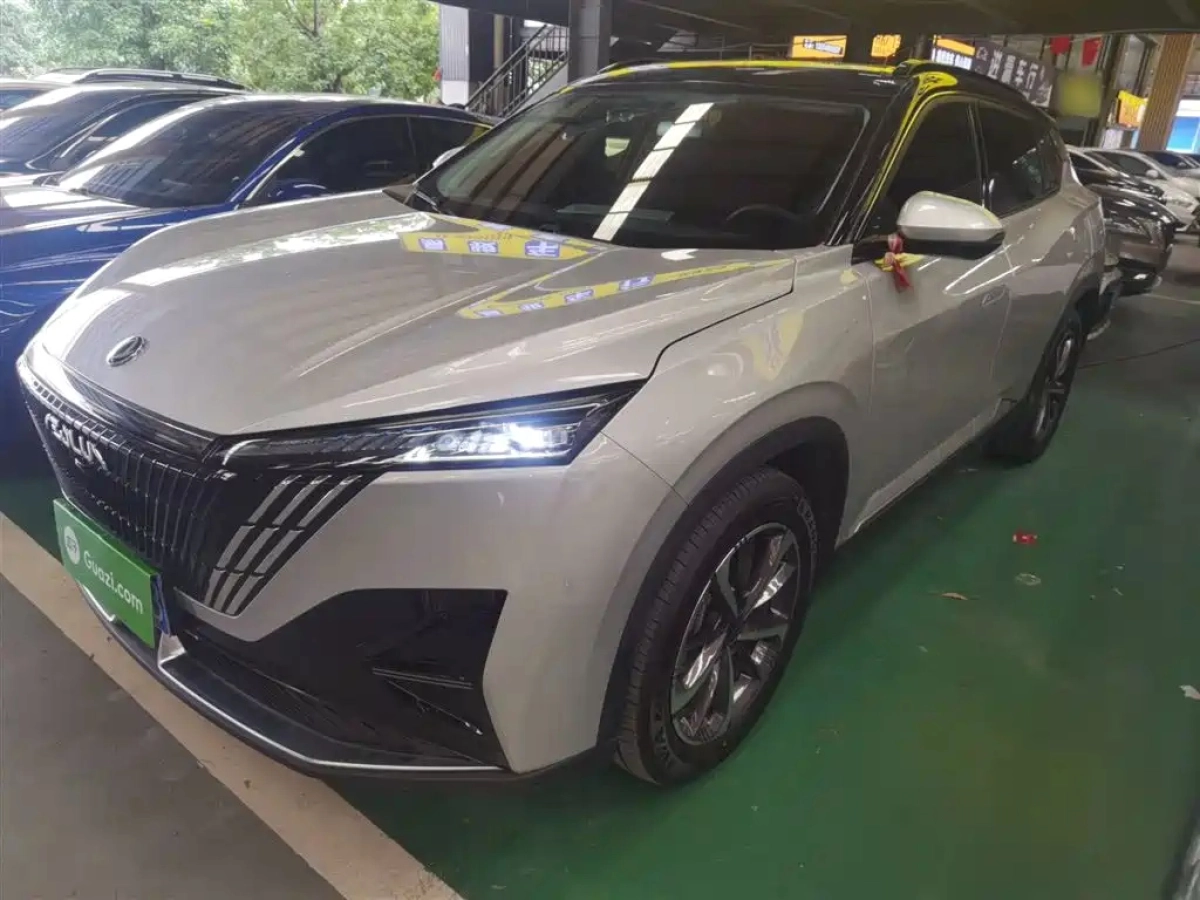 DONGFENG HAOHAN  2024