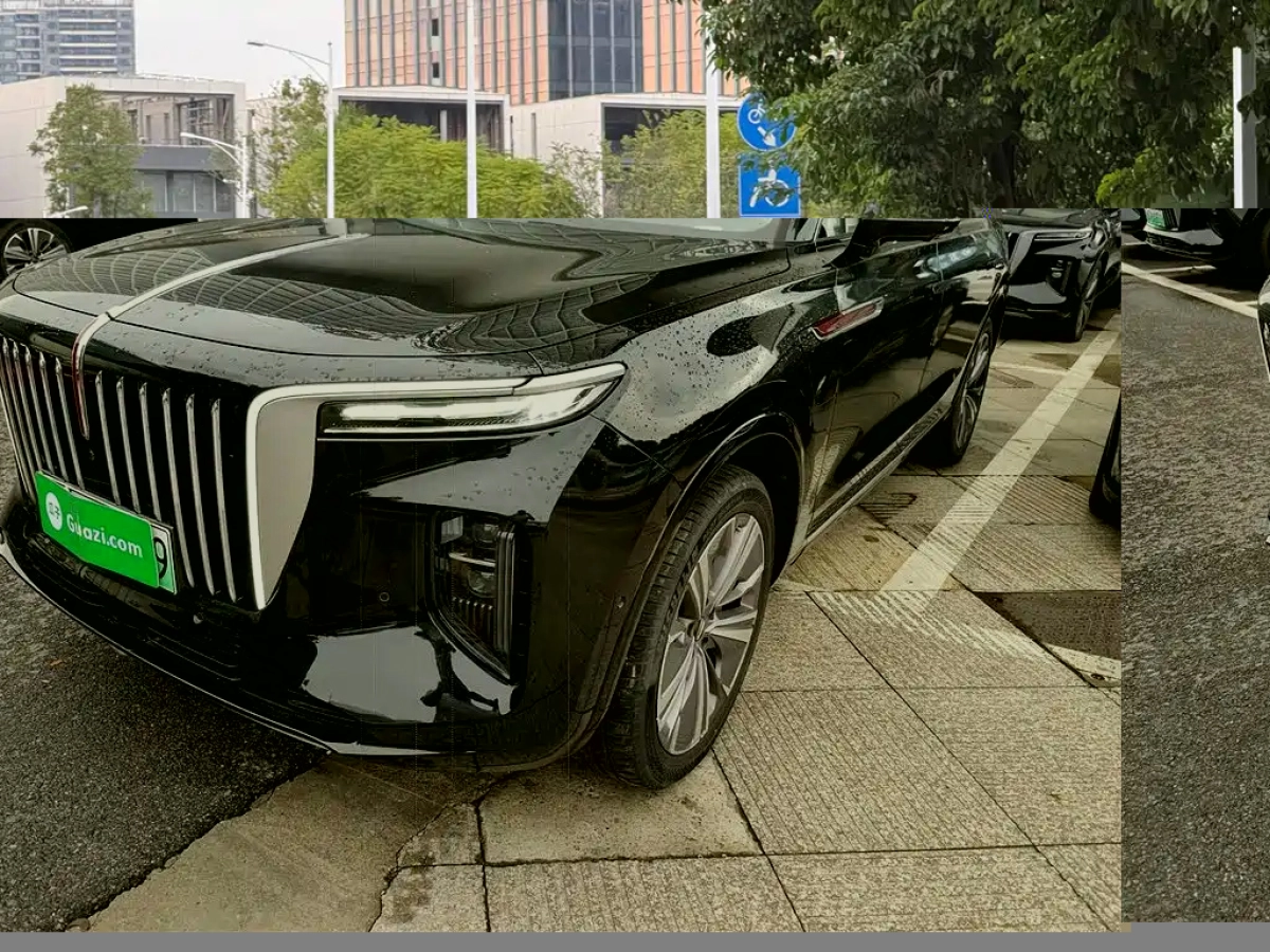 HONGQI E-HS9