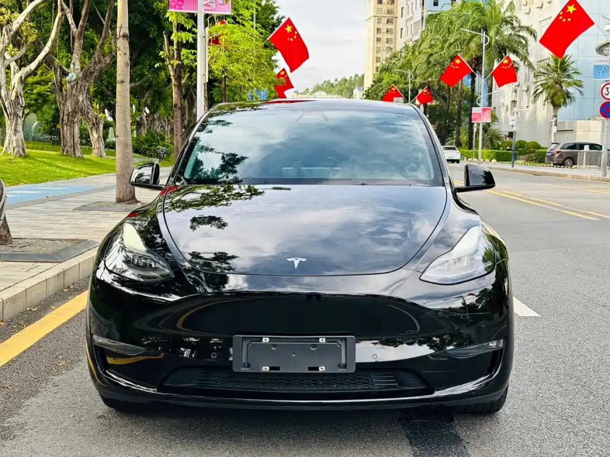 TESLA MODEL Y