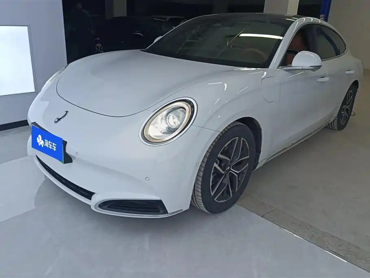 ORA LIGHTNING CAT  2024