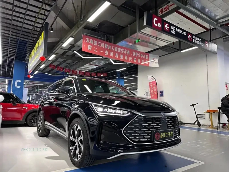 BYD TANG NEW ENERGY