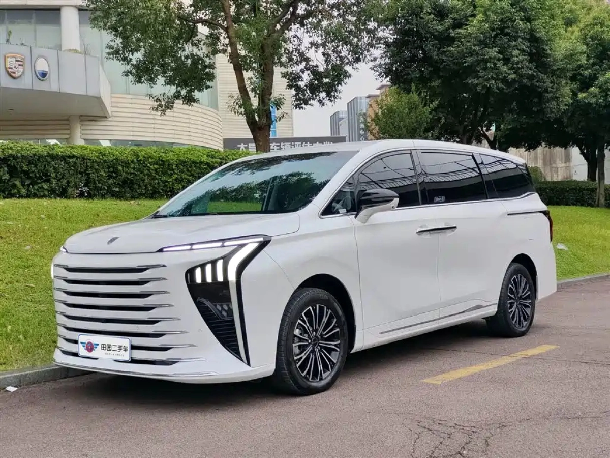 DONGFENG XINGHAI V9  2024