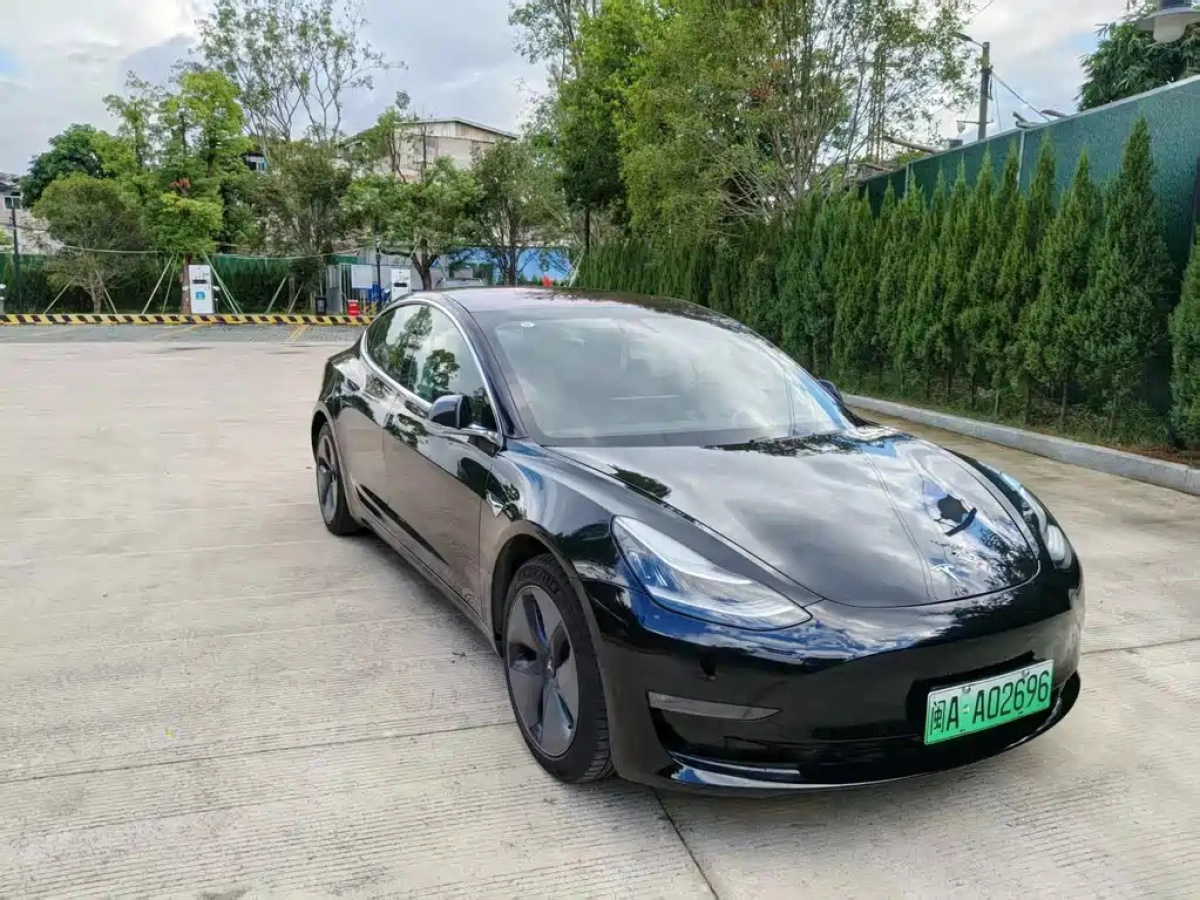 TESLA MODEL 3 IMPORT