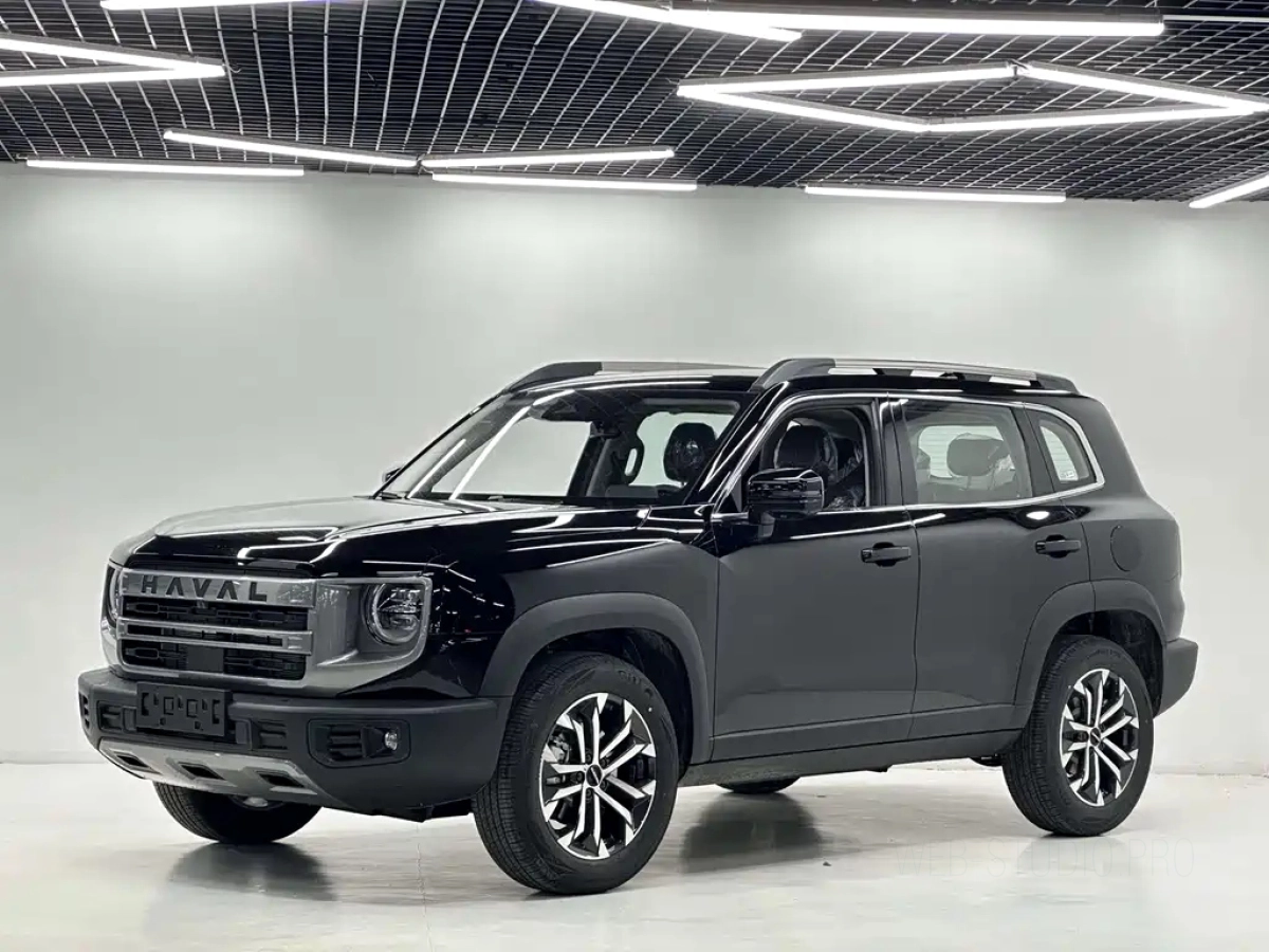 HAVAL BIG DOG