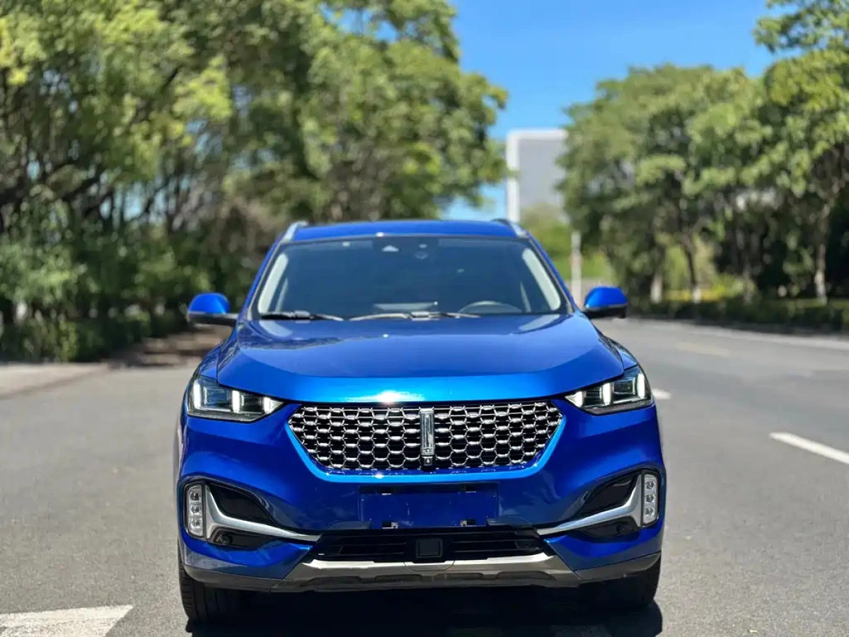 WEY VV6
