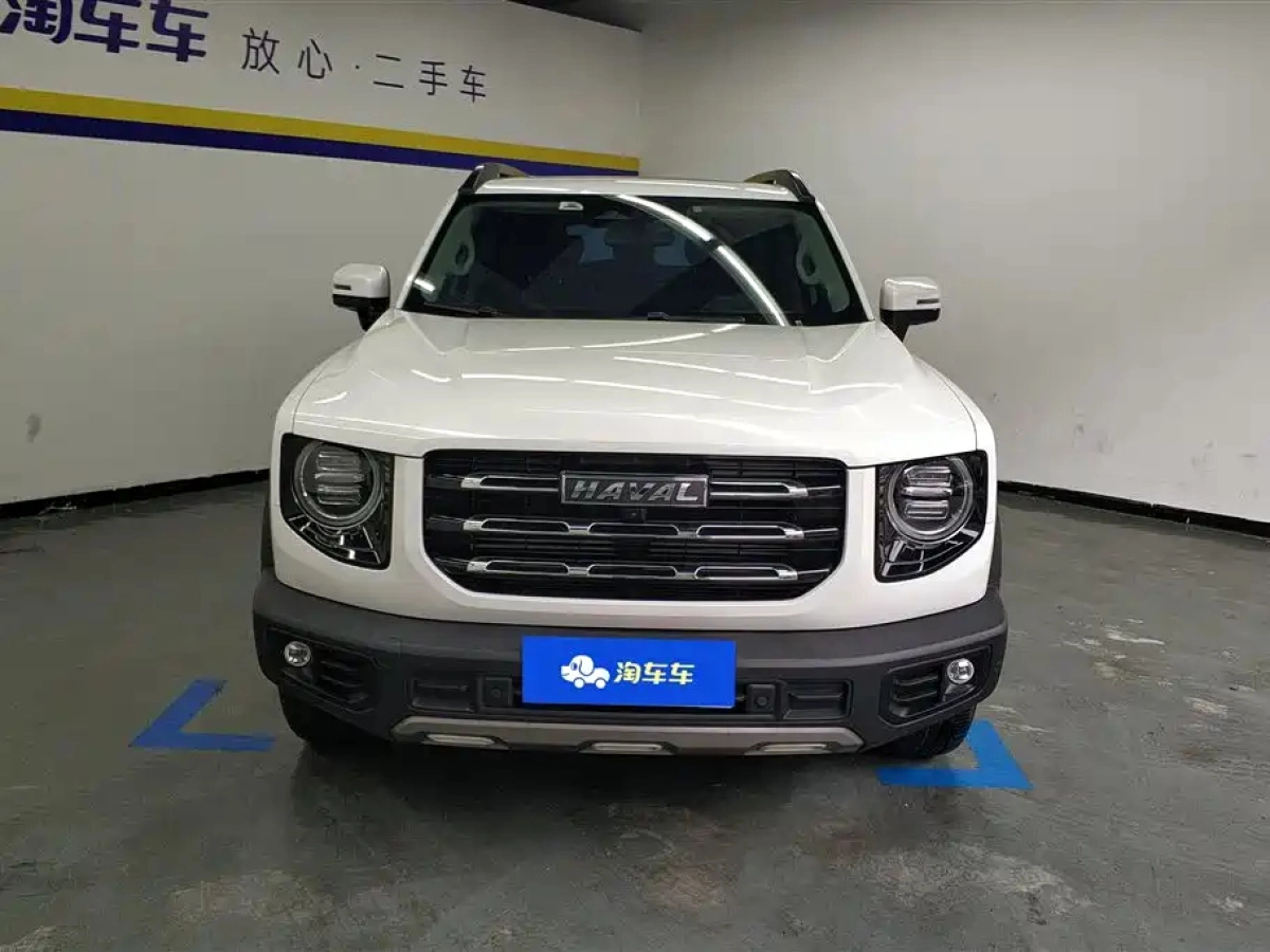 HAVAL BIG DOG