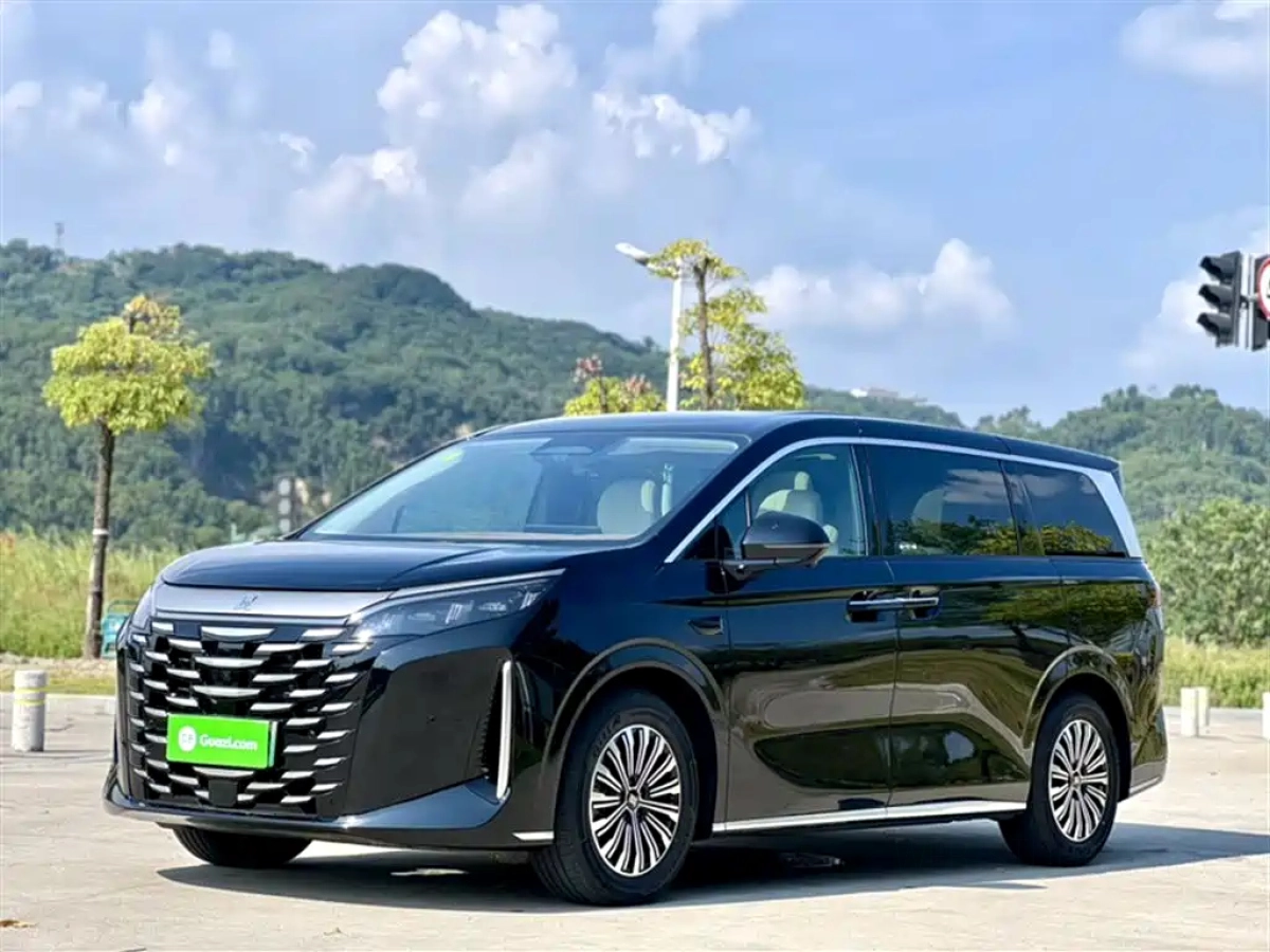 BYD XIA  2025