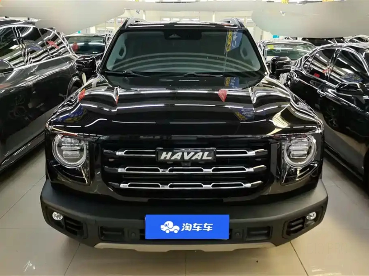 HAVAL BIG DOG