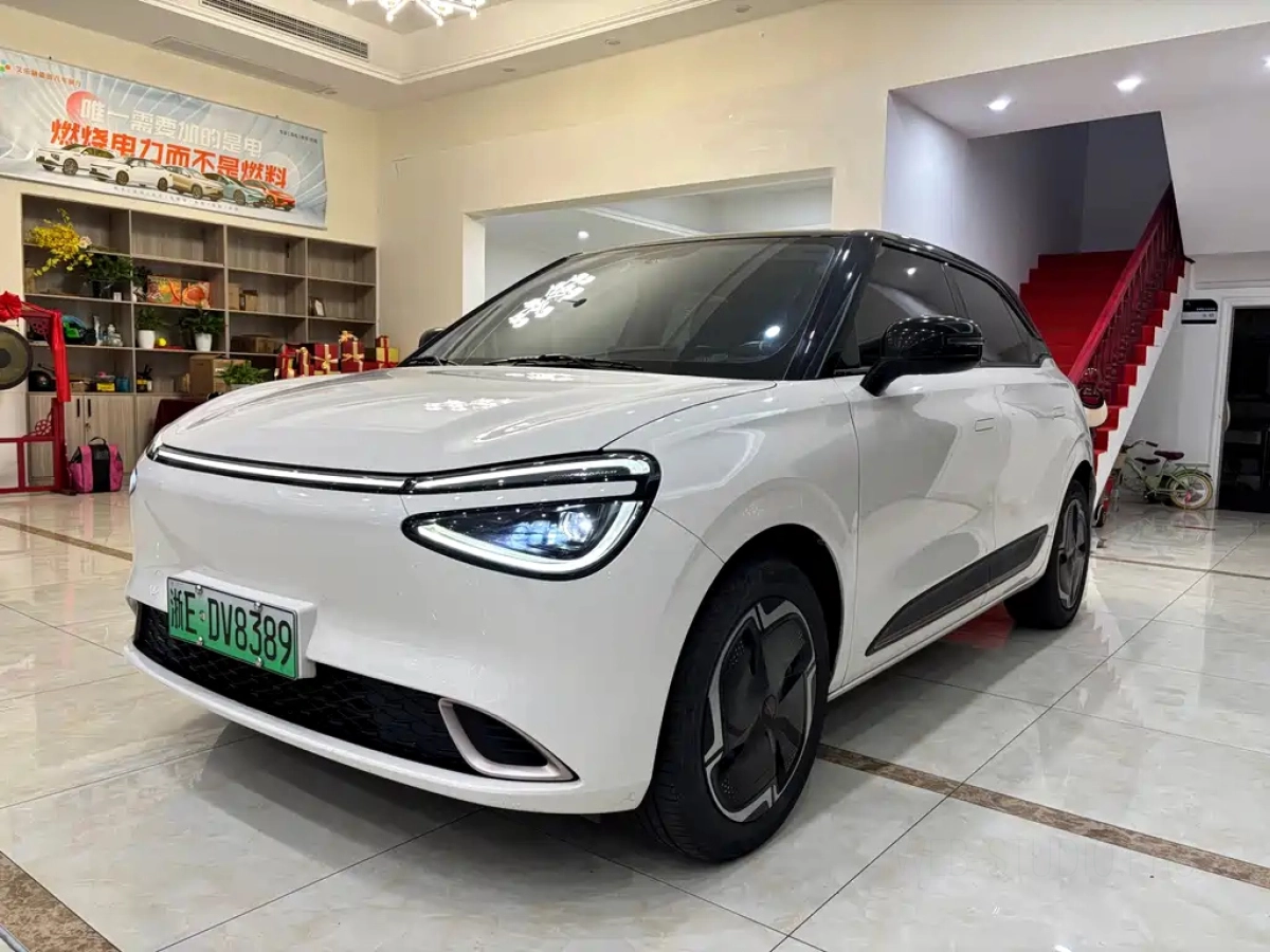 DONGFENG NANO 01  2024