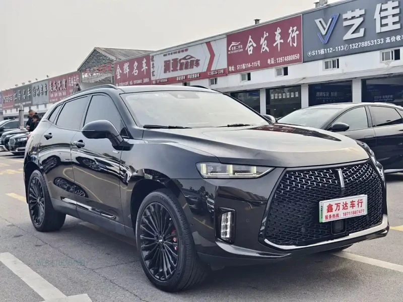 WEY P8