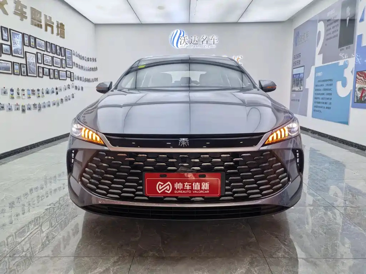 BYD QIN PLUS