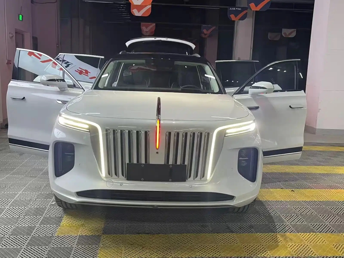 HONGQI E-HS9