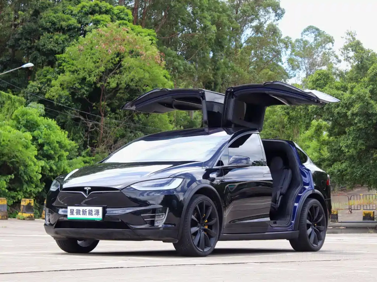 TESLA MODEL X