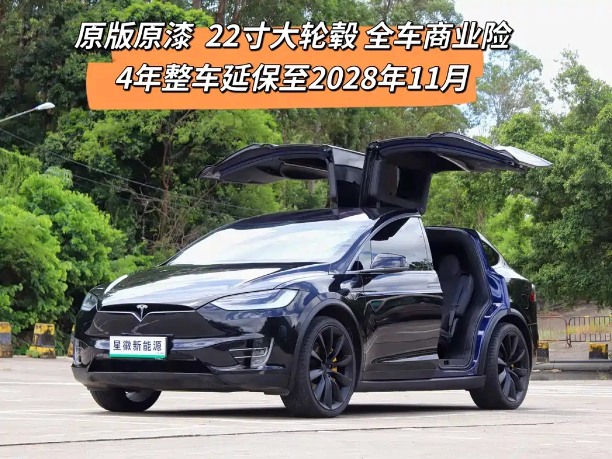 TESLA MODEL X
