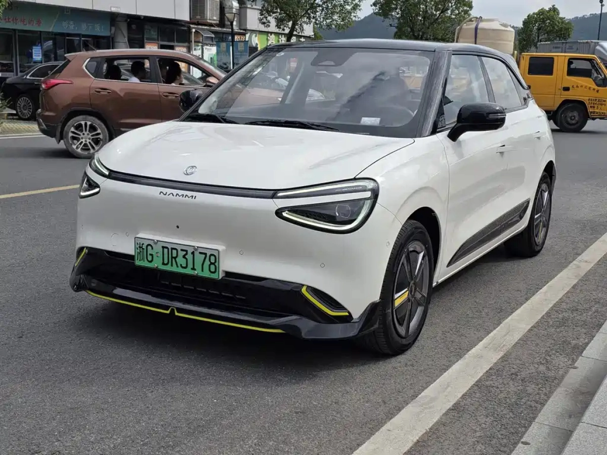 DONGFENG NANO 01  2025