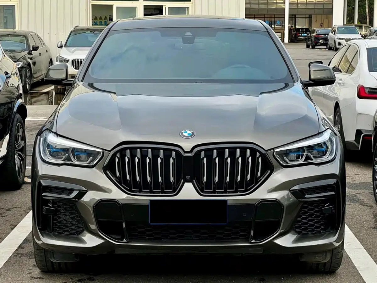 BMW X6