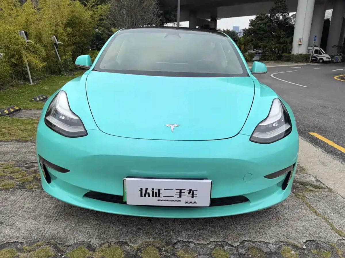TESLA MODEL 3 IMPORT
