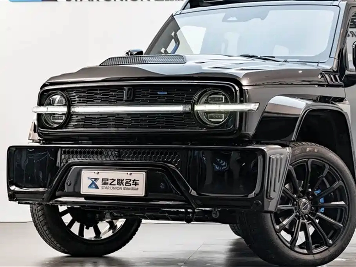 CHAOJING AUTO 共创 TANK 300