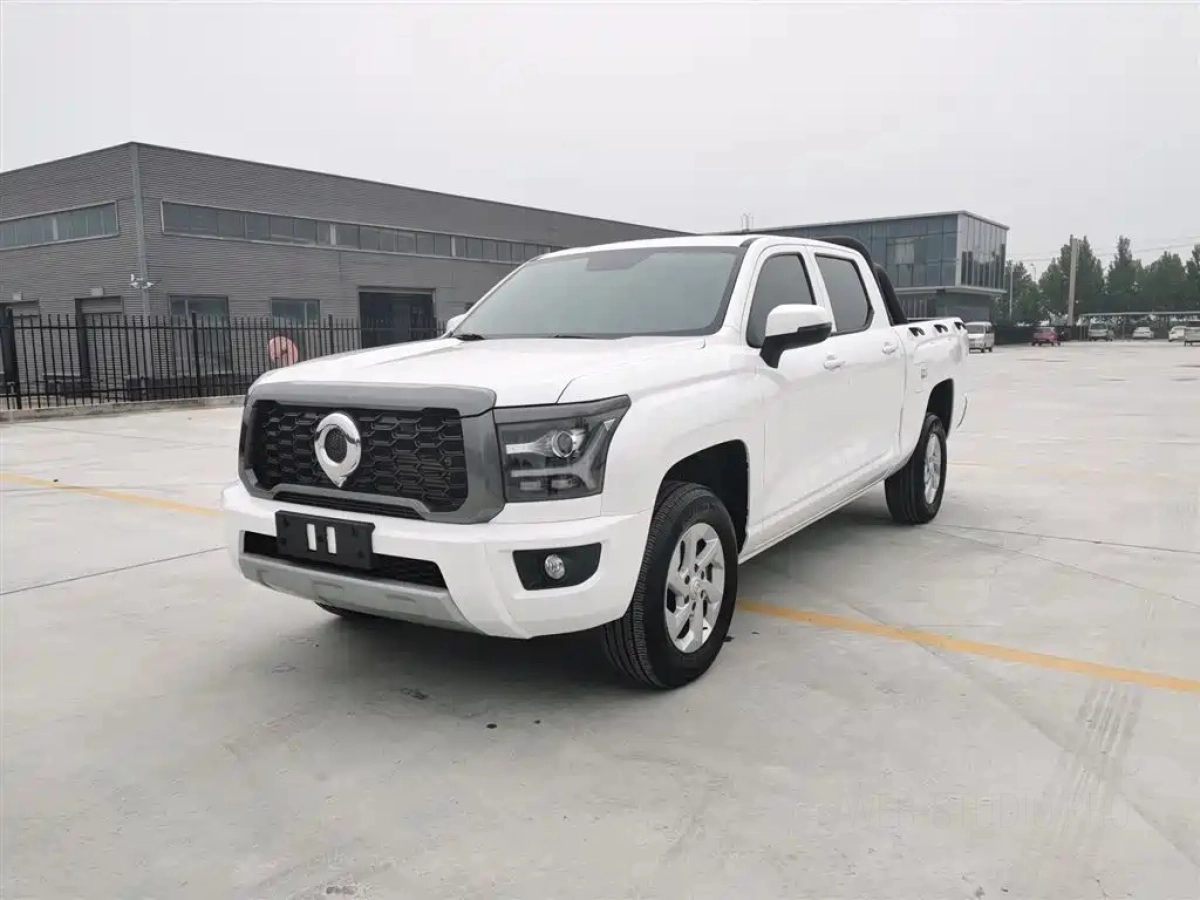 GREAT WALL KING KONG POER