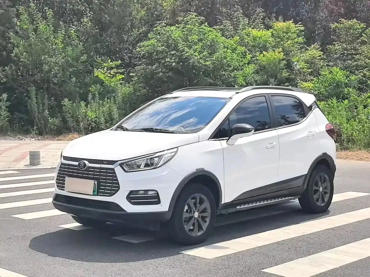 BYD YUAN NEW ENERGY