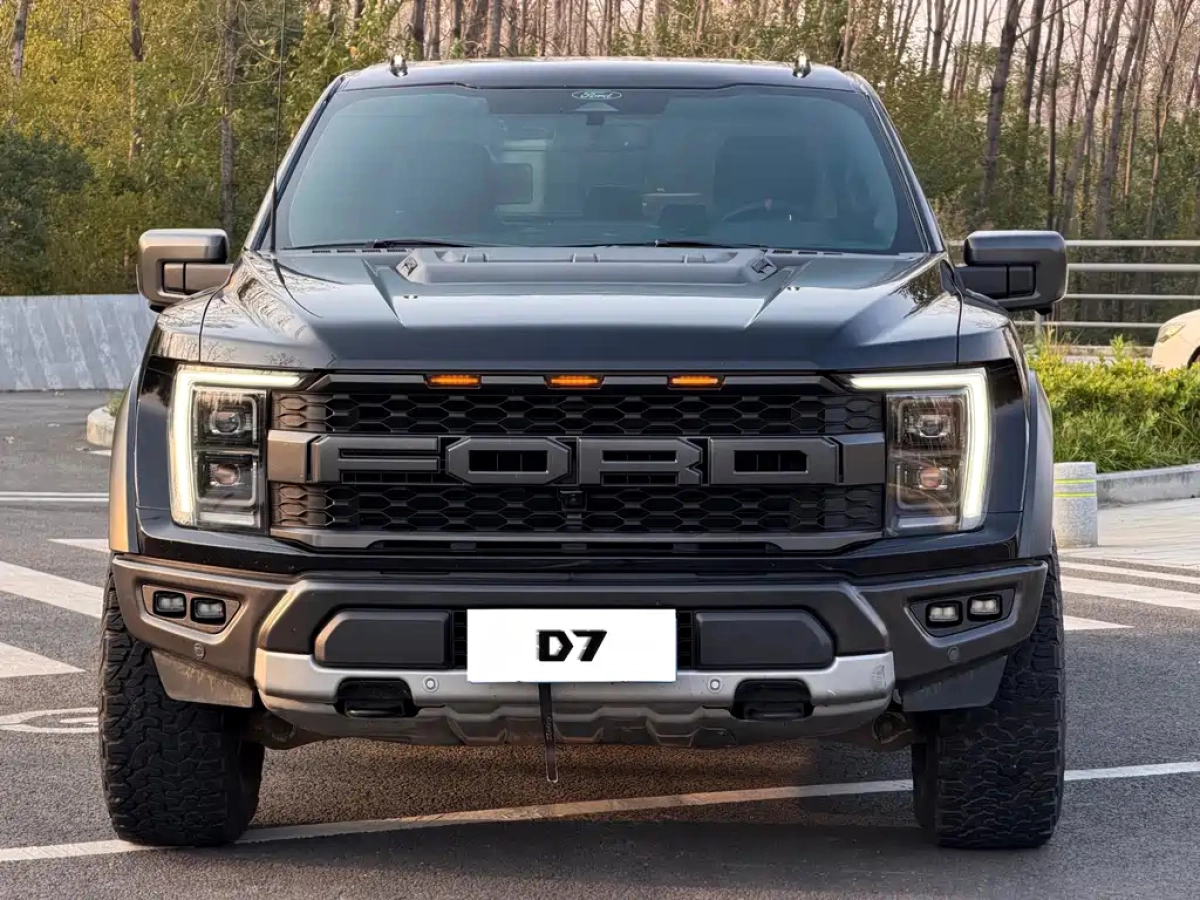 FORD F-150猛禽