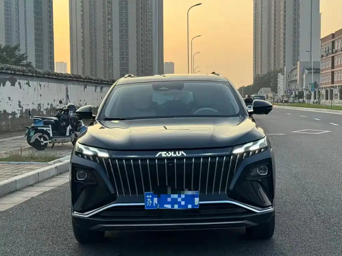 DONGFENG 皓极
