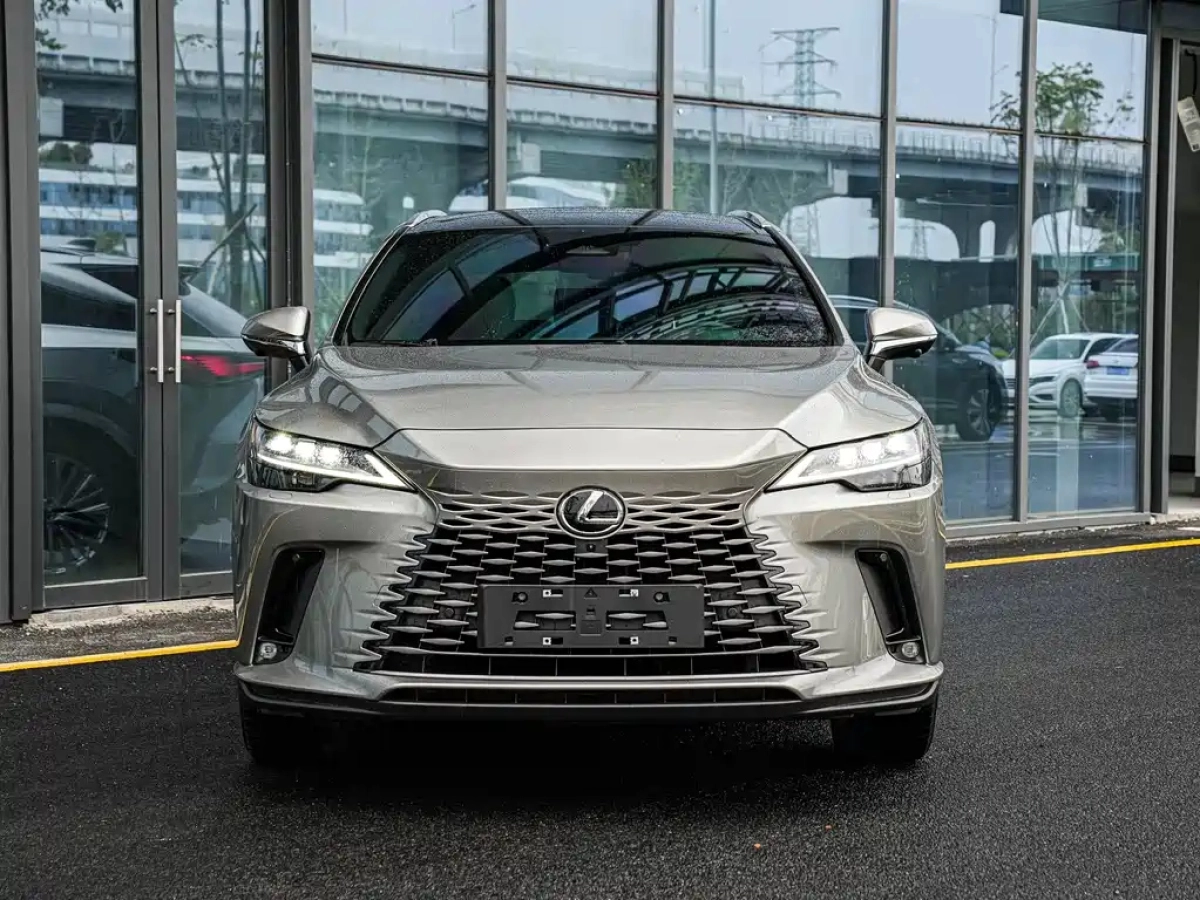 LEXUS RX NEW ENERGY