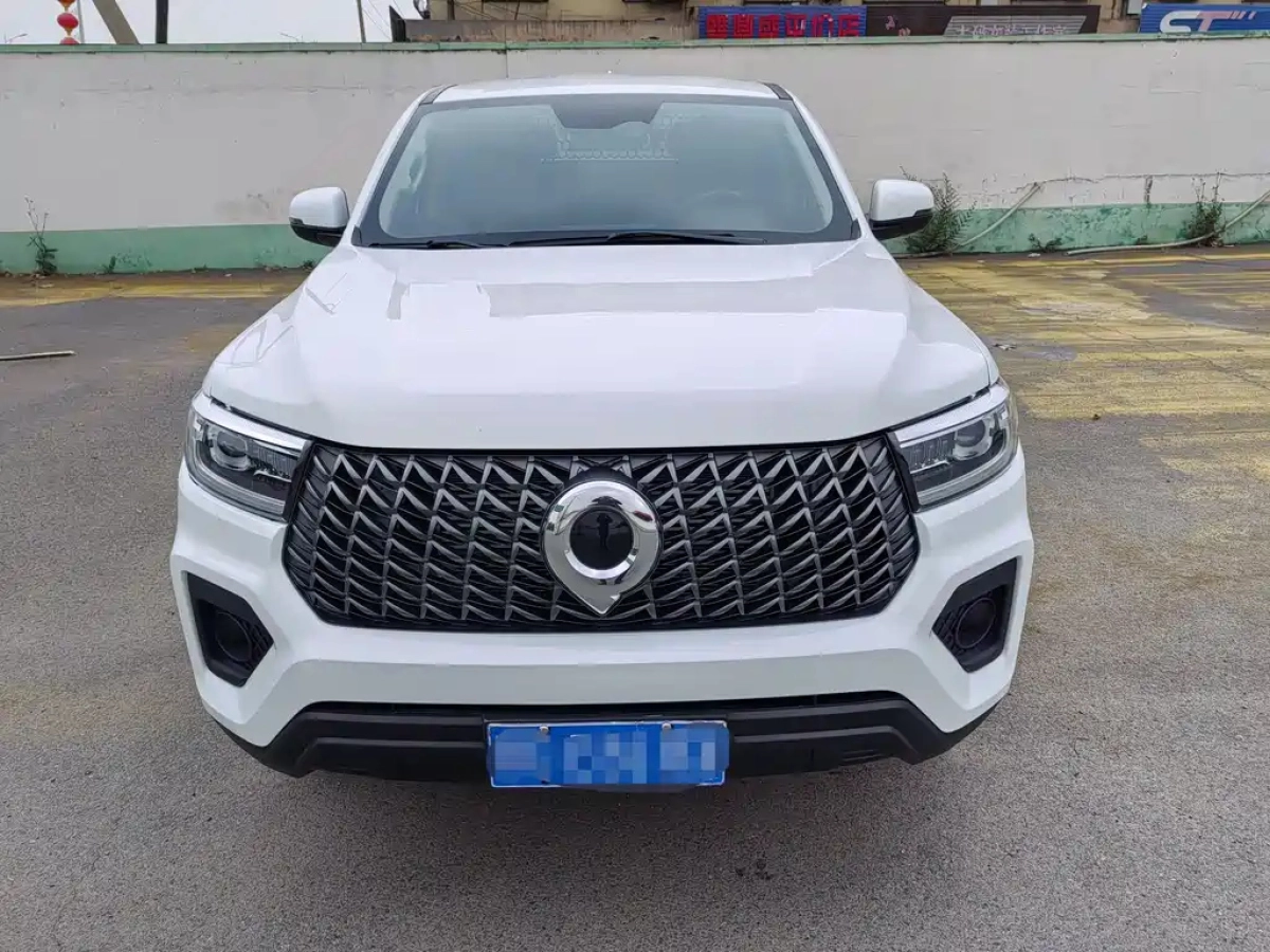 GREAT WALL POER  2025