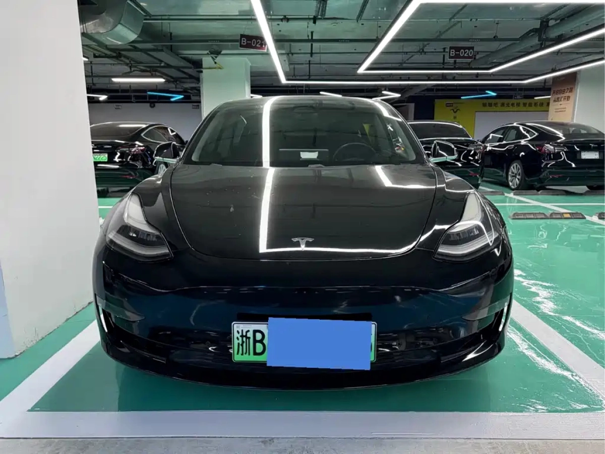 TESLA MODEL 3 IMPORT