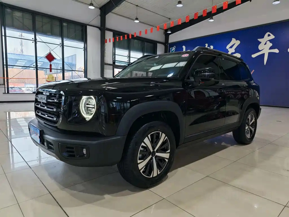 HAVAL BIG DOG