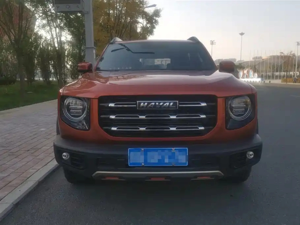 HAVAL BIG DOG
