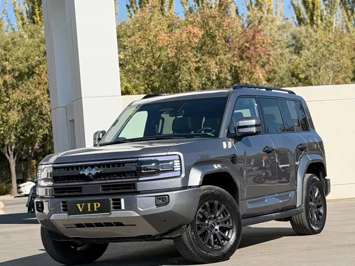 FANGCHENGBAO BAO 5  2025