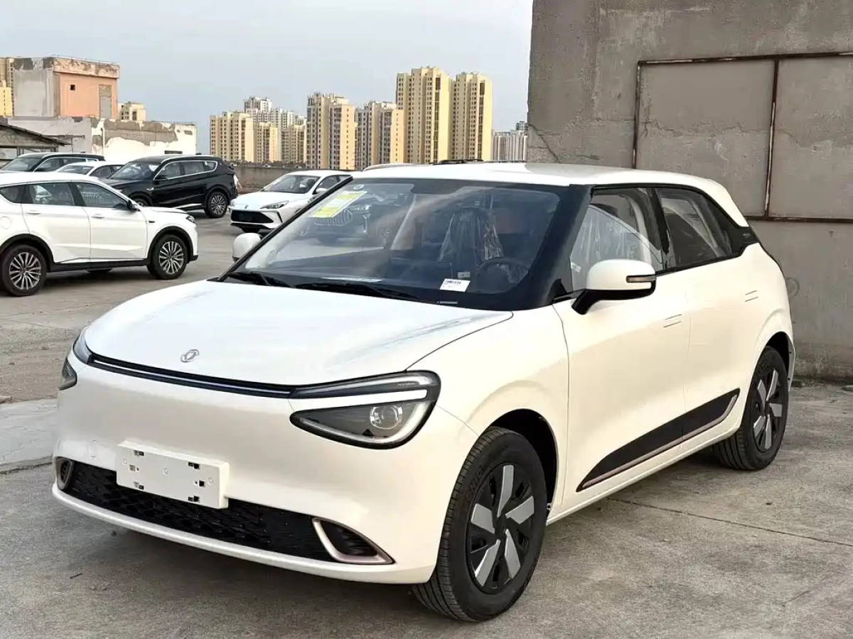 DONGFENG NANO 01  2025