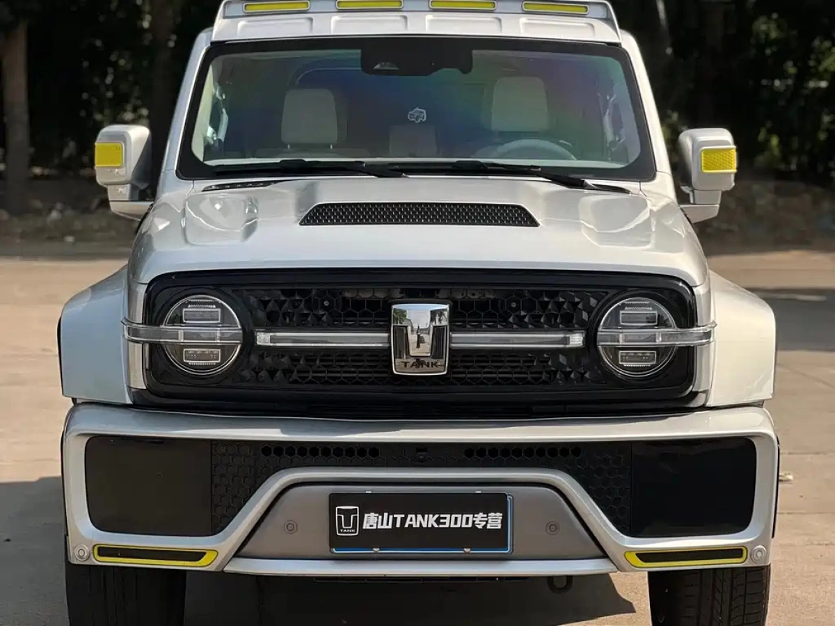 CHAOJING AUTO 共创 TANK 300