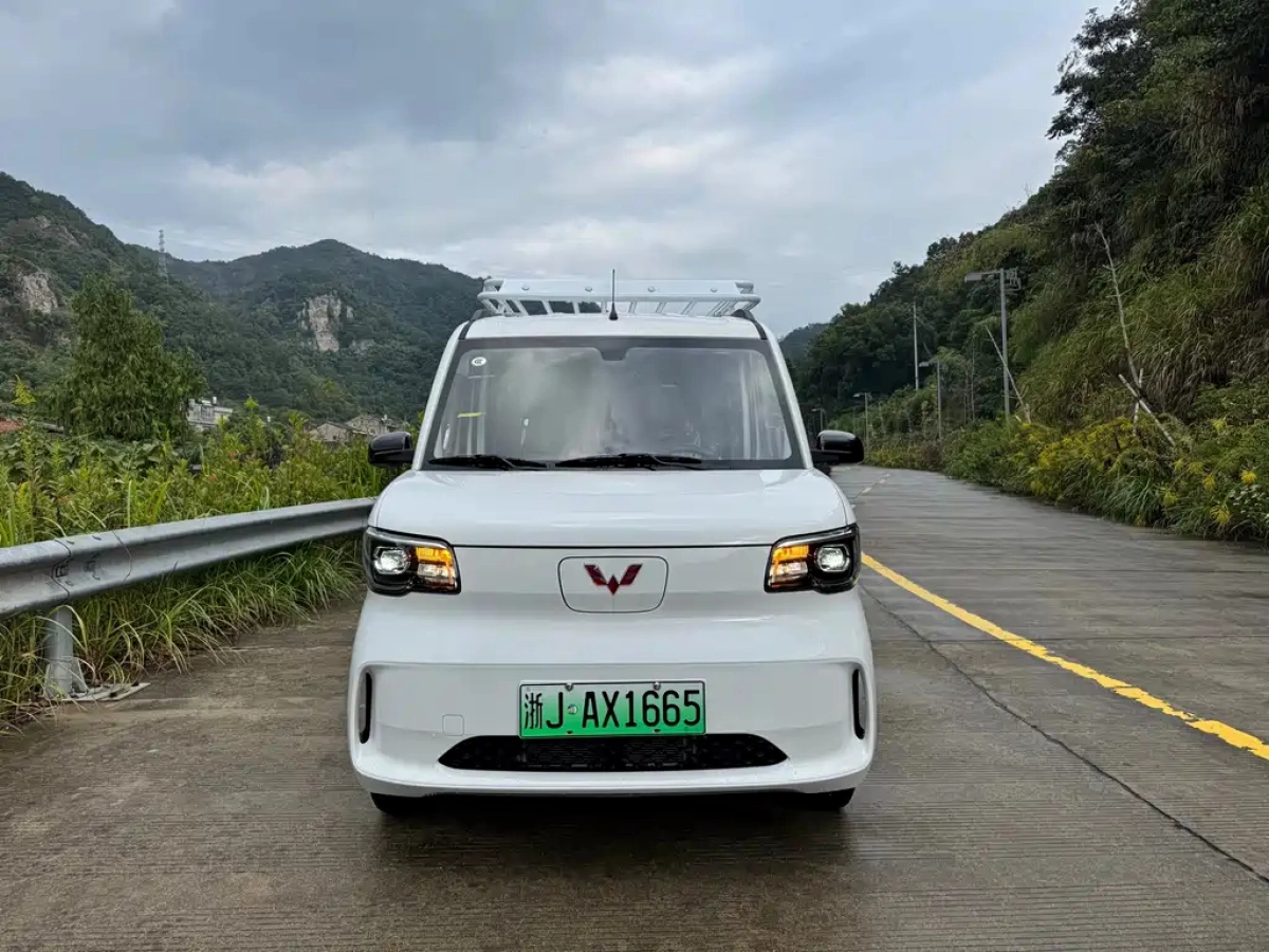 SGMW WULING LIGHT NEW ENERGY