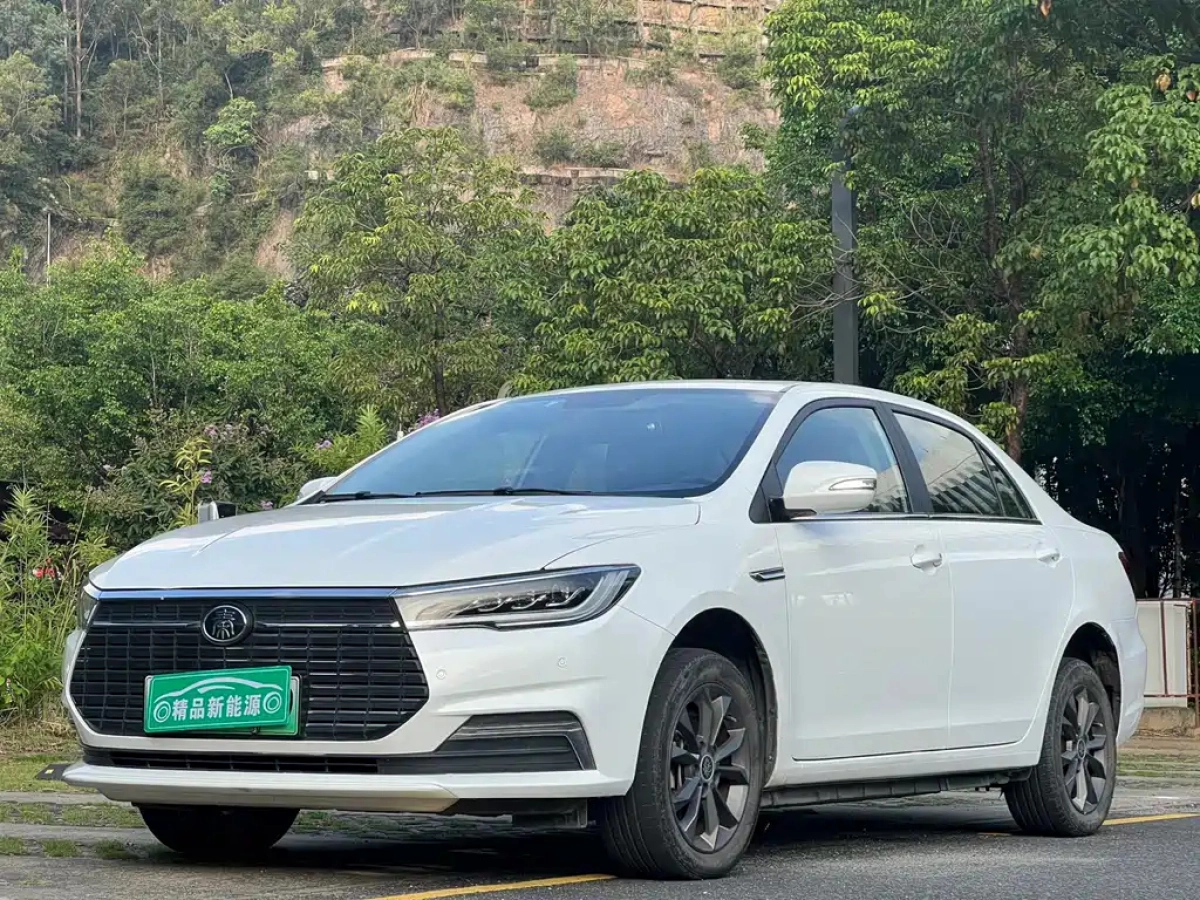BYD QIN NEW ENERGY  2020