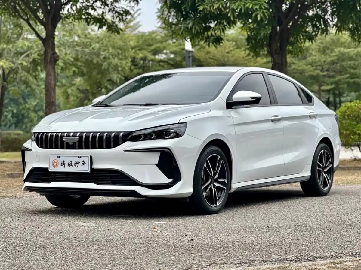 GEELY AUTO BINRUI  2025