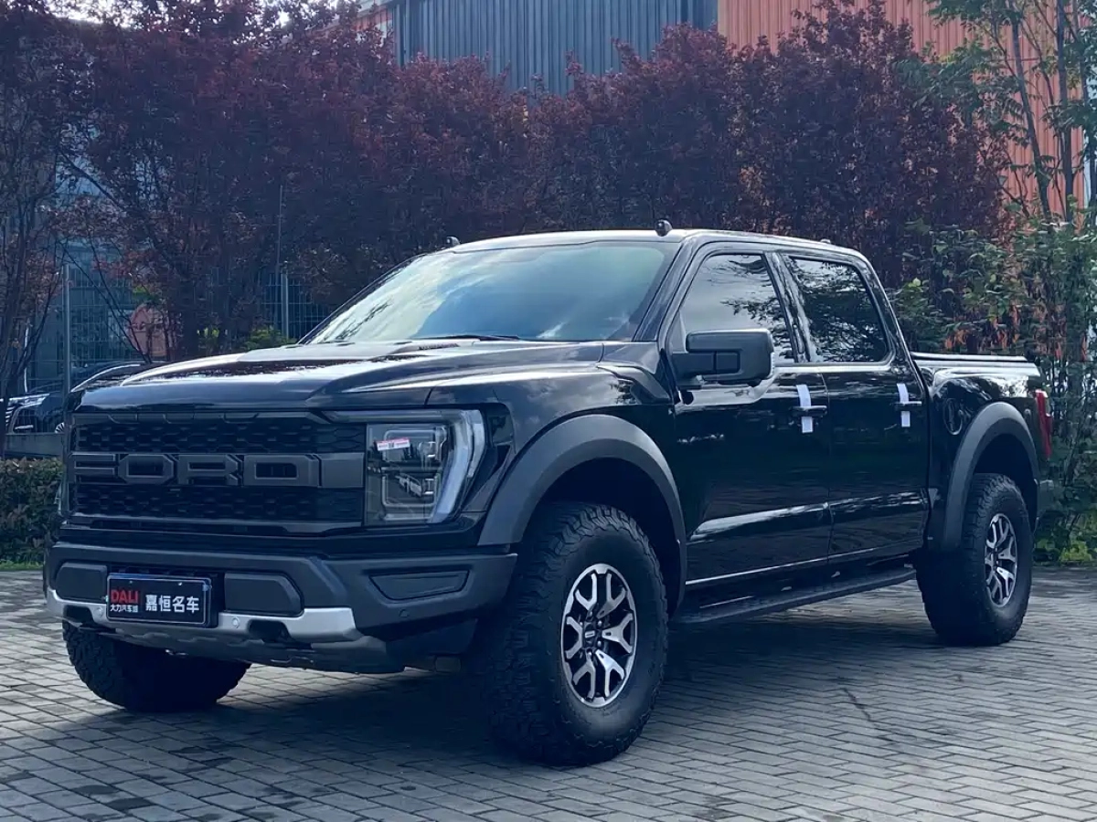 FORD F-150猛禽  2024