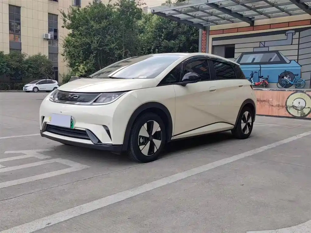 BYD DOLPHIN