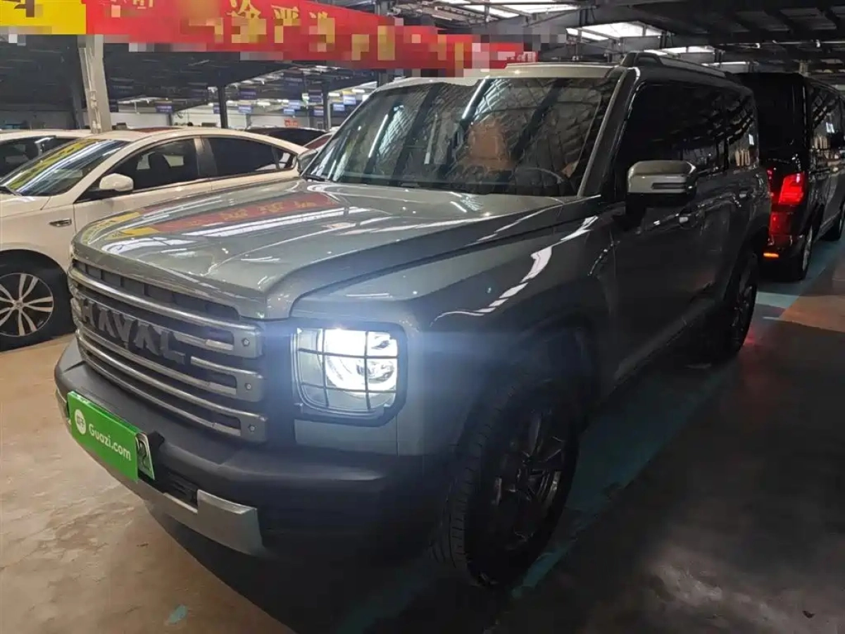 HAVAL RAPTOR NEW ENERGY  2024